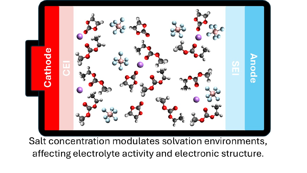 Electrolyte Solvation and Transport image
